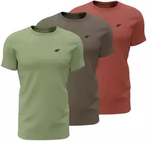 Vyriški marškinėliai 4F M4480 žalia, ruda, bordinė 4FWSS26TTSHM4480 90S (M)