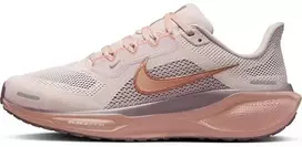 NIKE PEGASUS 41 (FD2723-604)