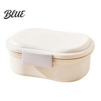 Picnic Food Container with Cooling Crisper Box Divided Compartments S