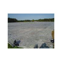 Agroplėvelė augalams 23 g/m², 15,80x100 m, balta
