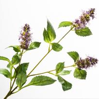 3 Head Artificial Pogostemon Stem Tall Stem Spike Flower Fake Patchouli Branch Plastic Realistic Texture Simulation Pogostemon violetinė