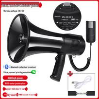 Lishi Portable Handheld Voice Amplifier