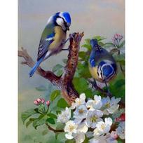 Deimantinis paveikslas kryželiu Siuvinėjimas Animal Bird Visas ekranas Deimantinis siuvinėjimas Gyvūnų raštas Karoliukų dirbinys Full Round 20x30CM