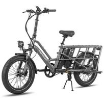 Fafrees FF20 CUV - Electric cargo bike - 250 W - 48 V - 24 Ah - 20-inch hub - Maximum speed 25 km/h - Grey