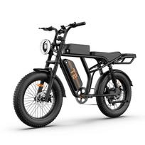 URLIFE T2 Urban commuter e-bike 500W rear hub motor 48V 15.6Ah battery 20x4-inch tires full suspension + mechanical brakes.