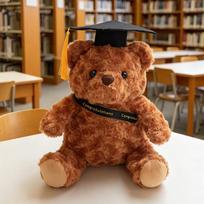 20/30CM Graduation Bear Plush Toy Cute Teddy Bear Soft Doll Boys Girls Students Graduation Gift 20cm