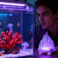Aquarium Volcano Decoration Realistic LED Light Waterproof Volcano Bubble Stone For Fish Tank For Saltwater Freshwater Turtle China Mainland