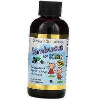Black Elderberry Syrup with Echinacea for Kids, Sambucus for Kids, California Gold Nutrition 120ml (71427009) 120ml