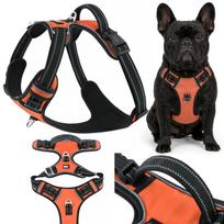 Prancūzų buldogo petnešos HUGGY DOGGY, reguliuojamos, M dydis