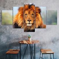 Liūto žvilgsnis Afrikos laukinis gyvūnas 5 dalių Penkių panelių drobės spaudinys ant sienos Modernaus meno plakatas Paveikslas Namų dekoras Dovana Jam Jai 20X35 20X45 20X55CM brown