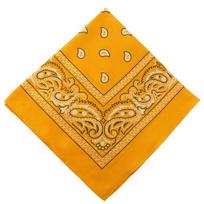 Multi-Functional Outdoor Bandana for Cycling Women Paisley Pattern Square Scarf Versatile Headwear Neck Cover and Face Mask One Size