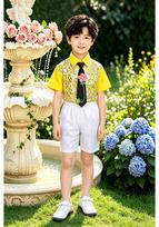 Graduation Daylily Chorus Boys & Girls Formal Wear Puffy Skirt Costume Dancewear 130cm