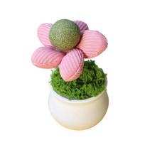 Catnips Balls Potted Plant Toy Flower Pot Shape Catnips Toy For Cats Chewing And Playing Entertainment Teaser Toy for Fun rožinė