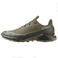 Salomon Alphacross 5 GORE-TEX Alyvuogių Naktis Juoda Vyriški Bėgimo Bateliai Žalia Gili Kerpės Žalia L47310300 46 gray