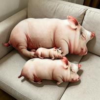 13-80cm Realistiškas Juokingas 3D Spausdintas Kiaulės Pliušinis Žaislas Kimštas Minkštas Gyvūnas Kiaulytės Lėlė Gimtadienio Dovana Žaislas Kawaii Dovana Mergaitėms Berniukui 13cm rožinė