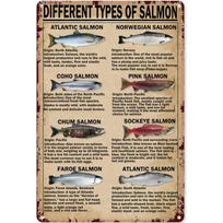 Retro Tin Signs Vintage Different Types of Salmon Metal Signs Poster Wall DecorAluminumtin sign 20x30cm（7.8x11.8inch）