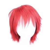 Fashionable Unisex Assassination Classroom Karma Akabane Uniform Cosplay Costume Suit With Excellent Stitches And Durability Wig Only,28cm/11.02in