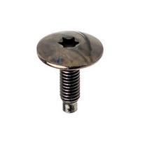 Torx Compatible Hood T30 M6 Screw for Peugeot, Citroen