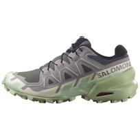 Salomon Wmns Speedcross 6 'Castlerock Smoke Green' 38