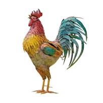 Realistic Chicken Statues, Rooster Animals Stakes,Animals Sculptures Decor,Chicken Ornaments Yard Decor For Backyard Patio,2D Plane One Size