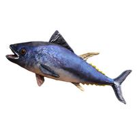 Hot sale holiday gifts Simulation Tuna Plush Toys Real Life Tuna Fish Pillow Creative Stuffed Soft Ocean Toys Sleep Pillow 45-50cm