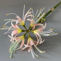60cm Šilkinė Lygiadienio Gėlė Rankų Darbo Dirbtinė Gėlė Dirbtinis Higanbana Gėlės Šakelė Namų Sodo Dekoras Style 2