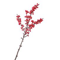 Artificial Berries for Users Seeking Enduring Floral Decor with Minimal Upkeep Size#Small raudona