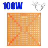 Viso spektro LED auginimo šviesa kvantinė lenta kambariniams augalams lempa šiltnamio palapinės auginimo dėžutė gėlių gėlių daržovių hidroponinis auginimas US Plug