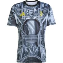 Adidas Juventus futbolo marškinėliai vyriški KA6785 M gray