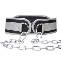 Zhan Ming Weightlifting Dip Belt with 5mm Chain pilka