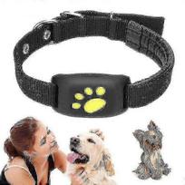 Smart Gps Cat And Dog Collar Tracker-ykc mėlyna