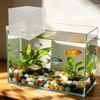 Betta Žuvytės Akvariumas Akrilinis Pakabinamas Akvariumas Neigiama Slėgio Dizainas Taupantis Vietą Vertikalus Montavimas Automatinis Vandens Papildytojas Vanduo 15X10X8CM beige