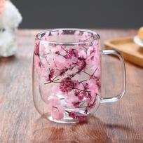 Dried Flower Double-Layer High Borosilicate Glass Cup One Size