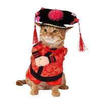 Chinese Emperors Princesses Cats Costume Funny Pet Clothing Traditional Soft Breathable Polyester Fabric S