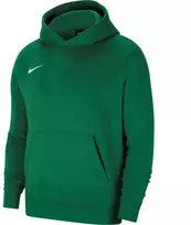 Nike Park 20 džemperis su gobtuvu „Junior CW6896-302“