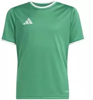 adidas Entrada 26 Marškinėliai žali JZ2528 vaikiški