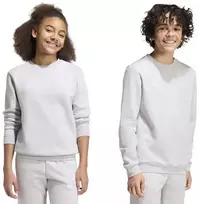adidas Entrada 26 vaikiškas pilkas bliuzonas JZ6551