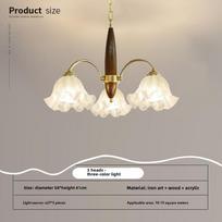 Vintažinis svetainės meno pakabinamas šviestuvas minimalistinis modernus valgomojo miegamojo pakabinamas šviestuvas Diameter-3 headlight