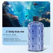 Aroma Diffuser Fragrance Essential Oil Aromatherapy Machine Air Freshener Deodorization Humidifier For Hotel Bedroom Toilet
