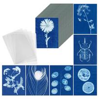 2026+ Sun Print Paper Kit, 100 Sheet Cyanotype Paper with 4 Sheet Acrylic Panel, A5 Sun Art Paper, Solar Printing Art Paper China Mainland