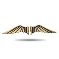 Front Hood Car Side Fender Decal Rear Trunk Emblem Eagle Wing Car Sticker 3D Metal Car Sticker bronza
