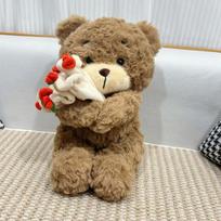 Valentines Day Teddy Bear Plush Toy with Rose Bouquet Soft Stuffed Bear Doll Perfect Birthday Christmas Gift for Girlfriend Wife 30cm ruda