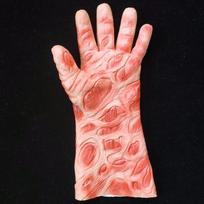 Freddy Prieš Jasoną Su Freddy Krueger Latekso Kaukės Ir Pirštinės Rinkinys Helovino Kostiumų Šventei One Glove