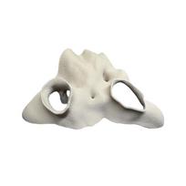 Durable 3D Printed Cave Faux Mangrove Root Natural-Look Decor Fish Hideout Hideout Decor Textured Root Style Tunnel Cave