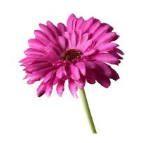Artificial Gerbera Flowers Realistic Fake Long Stem Flower Bouquet for Vase Indoor Home Floral Arrangements Wedding Party Table Centerpiece violetinė
