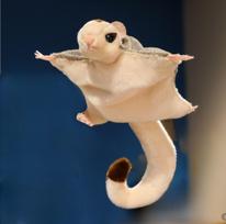 33CM Animacinis Cukrinis Skraidūnas Pliušiniai Žaislai Mielas Skraidantis Voverė Nariai Turi Magnetus Juokingos Gyvūnų Lėlės Gimtadienio Dovanos About 33cm beige