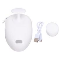 Pet Spray Brush Multi Functional Easy Hair Removal Mist Grooming Massage Brush for Cats balta