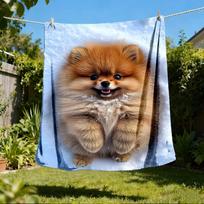 1 vnt. Pomeranijos lauko flanelinis pledas, skalbiamas mašinoje, puiki dovana gimtadieniui, kelionės aksesuaras šventėms, patvari medžiaga 80x120cm