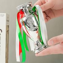 Aukščiausios kokybės dervos Euro taurės trofėjaus modelis, idealiai tinkantis futbolo sirgaliams Trophy 16cm white