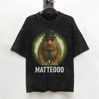 Matteo Italian Brainrot Meme Mateo Brainrot Mateooo T Shirt Washed Short Sleeve TShirt for Men Women Streetwear Printed Tees S